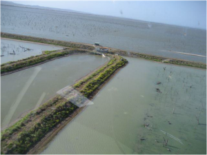 Lake Brewster newly configure outlet channel and storage
