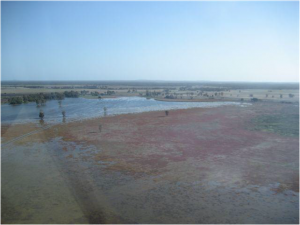 Lake Brewster – Milfoil growth during 2011