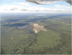 Lower Lachlan Swamp (Photo: Paul Packard, OEH, 2012)