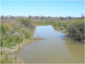 Picture1